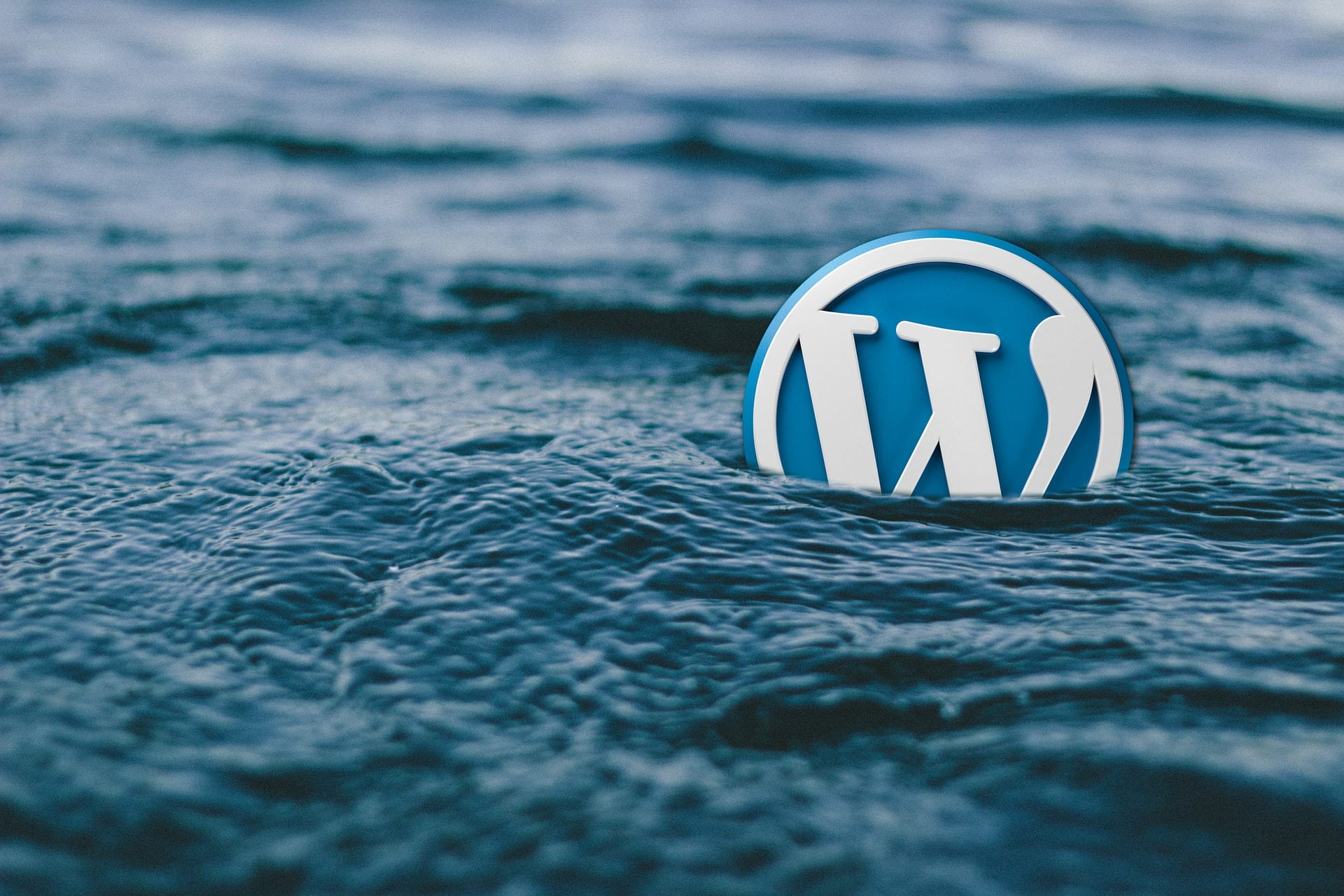 WordPress Website erstellen: Diese Skills brauchst du auf jedem Level