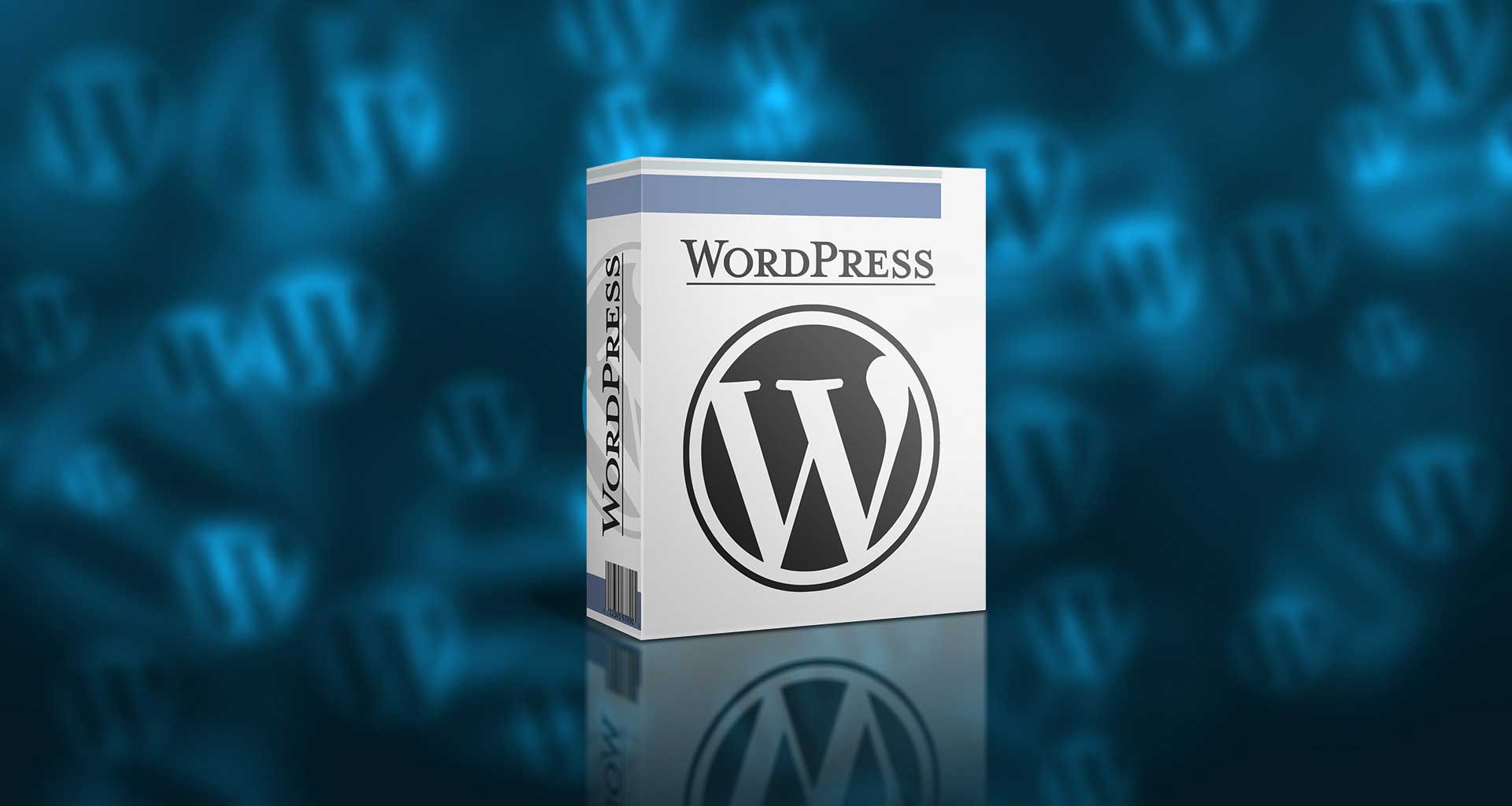 WordPress 6.8.2 – Was ist neu und was hat sich verbessert?